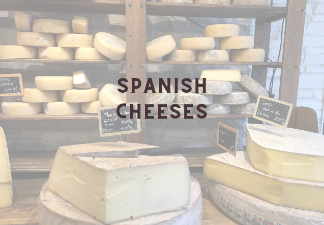 Spanish Cheeses